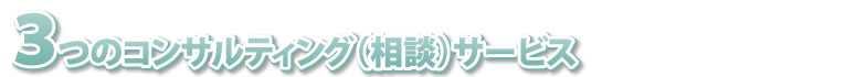 3つのコンサルティング（相談）サービス